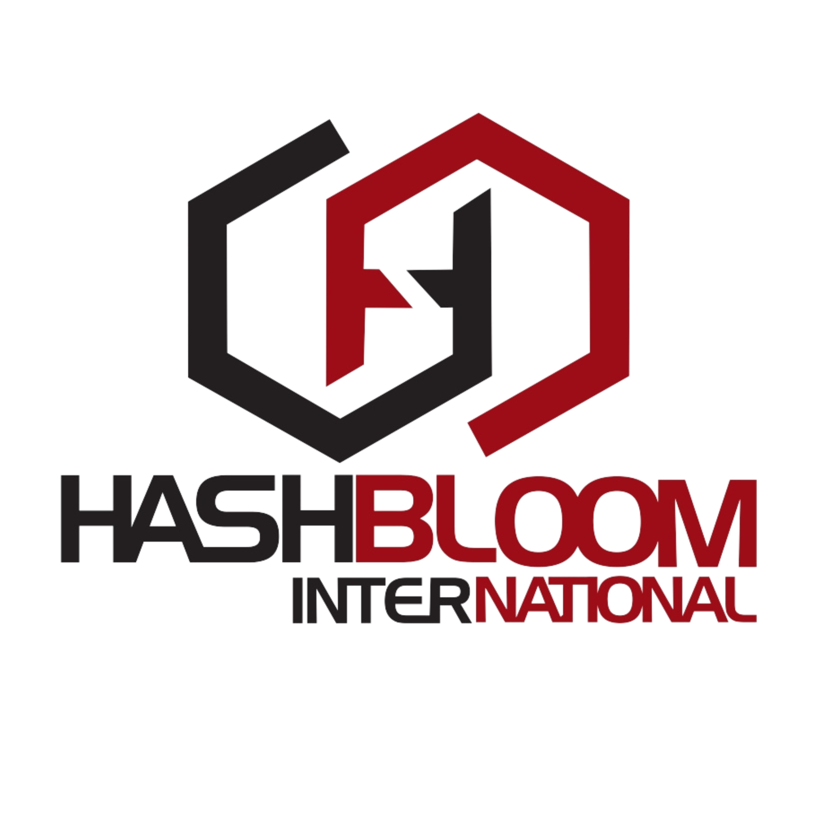 hashbloomintl.com